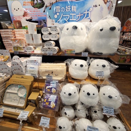 店頭画像