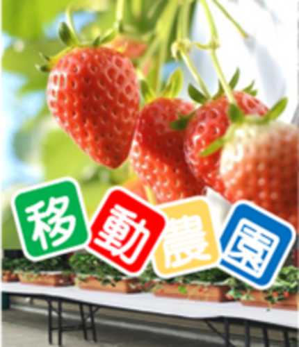 お子様いちご狩り体験