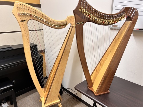 アイリッシュハープ/サウルハープ